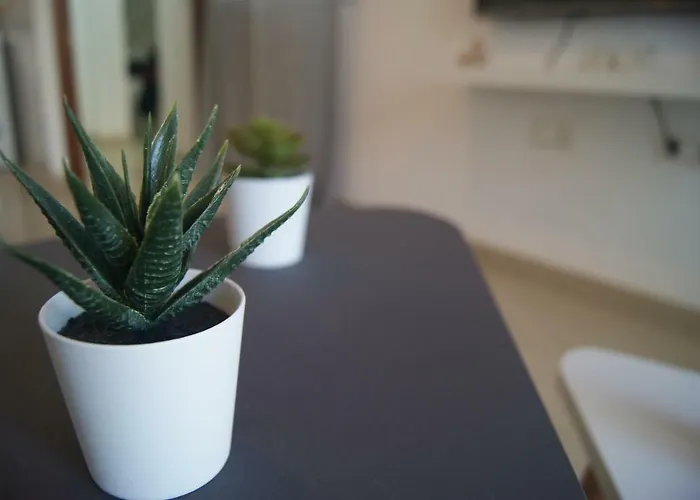 Cdz - Atico Tavira 公寓 加的斯